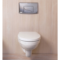 Унитаз подвесной Jacob Delafon Patio E4187-00