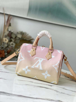 Louis Vuitton Speedy 25