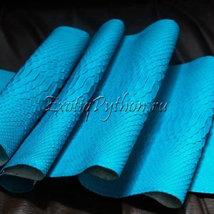 Кожа питона