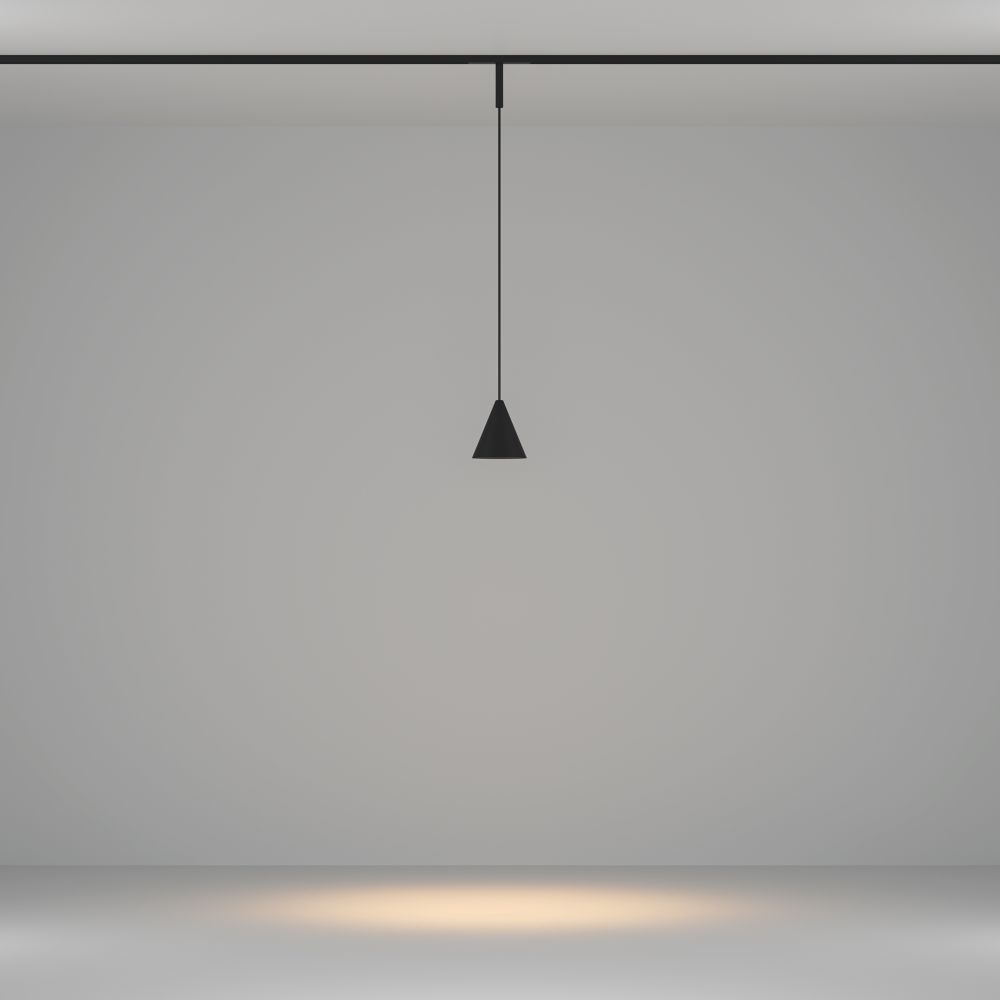 Трековый светодиодный светильник Maytoni Basity   TR182-1-5WTW-M-B