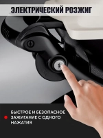 Газовый гриль Weber Q1250 RED