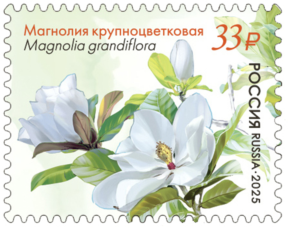 Марка номиналом 33 рубля. Растения Крымского полуострова