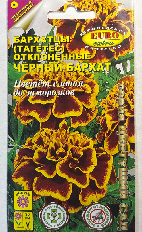 Бархатцы Черный бархат откл  0,1 г СМЦ-482