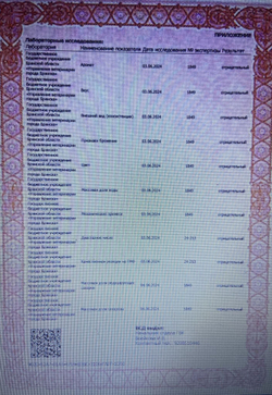 Мёд Цветочный Майский, натуральный 2024 с пасеки Брянского края ,1 литр (1,4 кг)