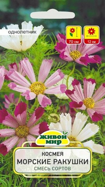 Kocмeя "ЖМ. Mopcкиe paкyшки" 1г., Польша.