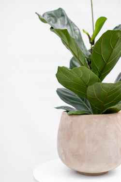 Кашпо Jaze Planter 29/25