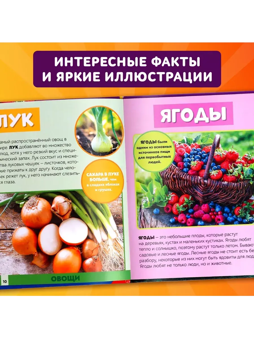 Фотоэнциклопедия для детей Мир вокруг нас