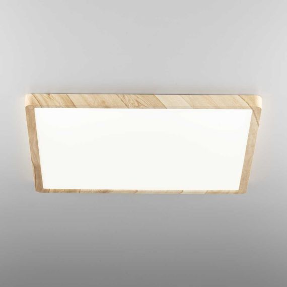 Светильник накладной Citilux Бейсик CL738K502V