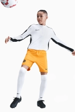 Шорты Nike Erling Haaland Academy Детские - желтый