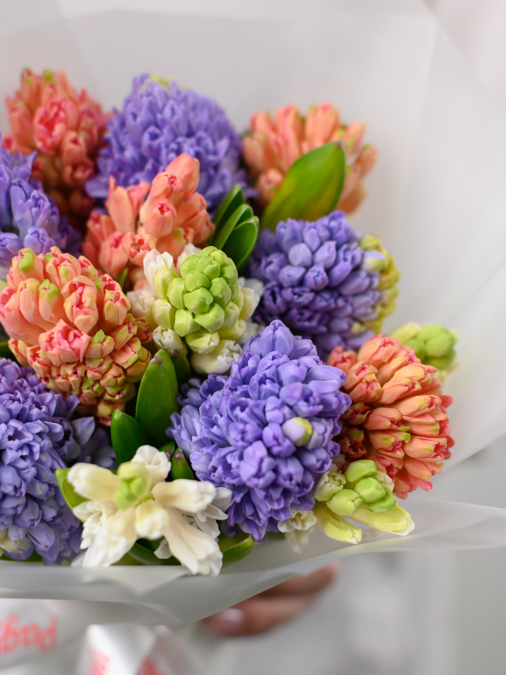 Монобукет из Гиацинтов