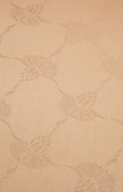 Наволочка 35x40 JOOP! Cornflower золото