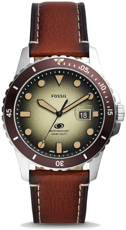 Мужские наручные часы Fossil FS5961