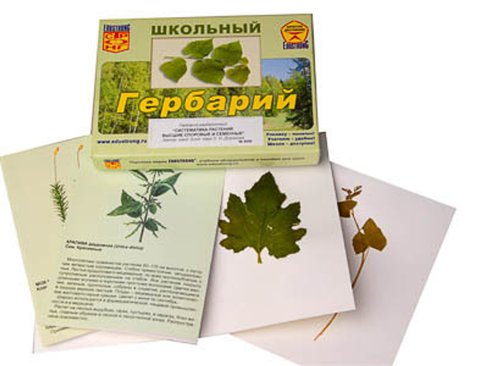 Комплект гербариев раздаточных