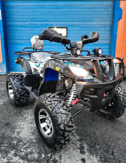 Квадроцикл Grizzly 200