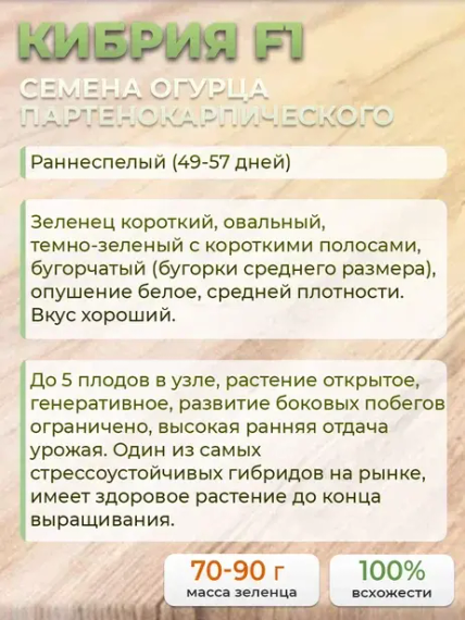 КИБРИЯ F1 семена огурца (Rijk Zwaan | Alexagro) – фото 13