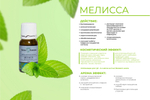 Эфирное масло Мелисса