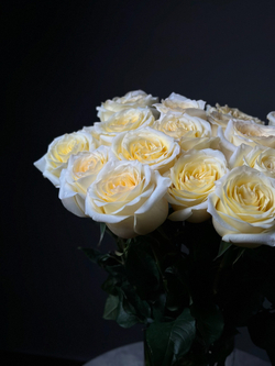 Пионовидные розы сорт «CANDLELIGHT» (Эквадор)