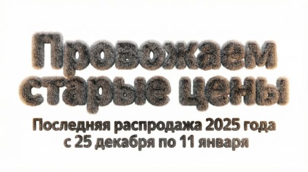 Провожаем старые цены. Последняя распродажа 2025 года Провожаем старые цены. Последняя распродажа 2025 года