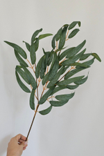 Рускус / Арт 1058