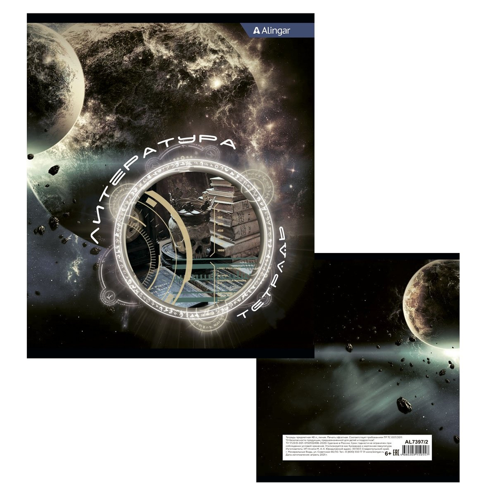 Тетрадь предметная "Литература" А5 48л., со справочным материалом, скрепка, мелованный картон (стандарт), блок офсет, Alingar "Знания Вселенной"