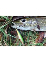 Воблер рыболовный плавающий KLOSS 70mm, цвет 048, 1 штука