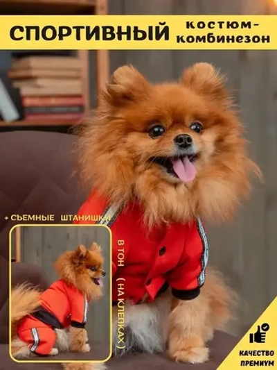 Спортивный комбинезон костюм для собак