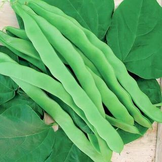 Фасоль Фатима 25 грамм