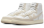 Кроссовки Nike Terminator High "Be True"