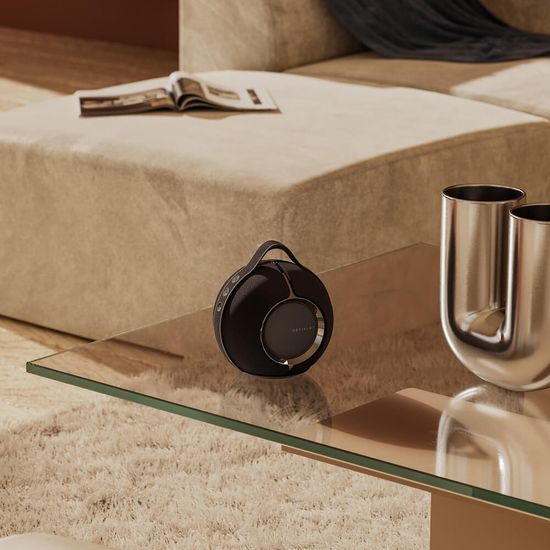 Портативная колонка Devialet Mania, Deep Black