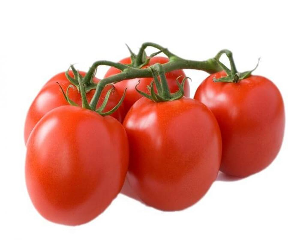 Томат Альбион F1