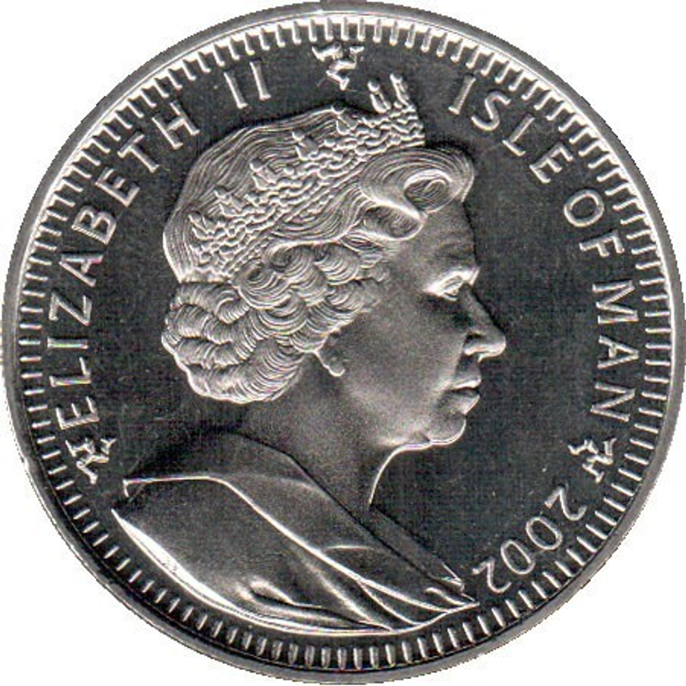 Бенгальская кошка