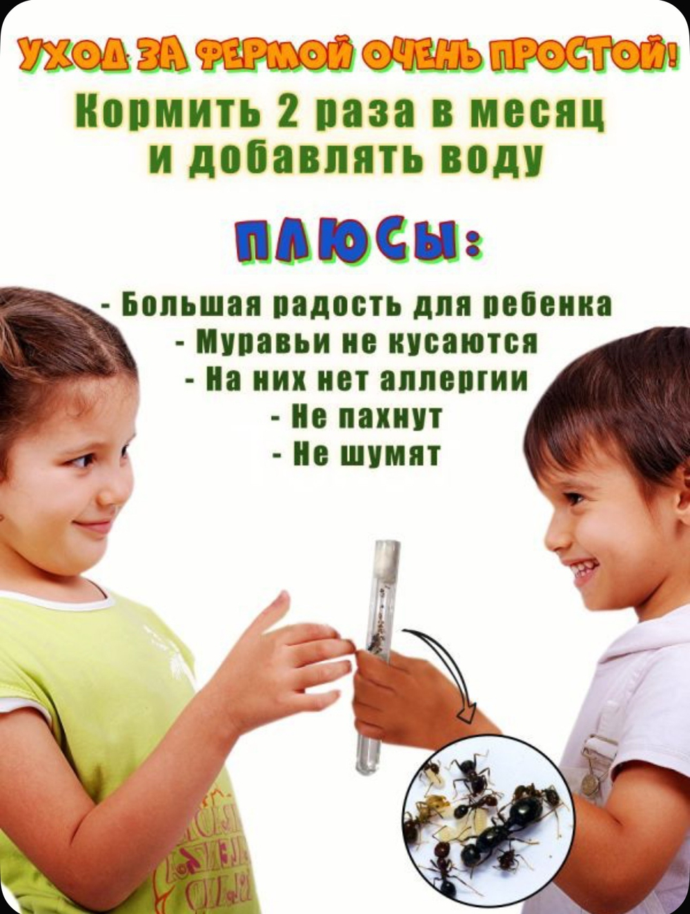 Большой Формикарий «Джунгли» с муравьями в подарок