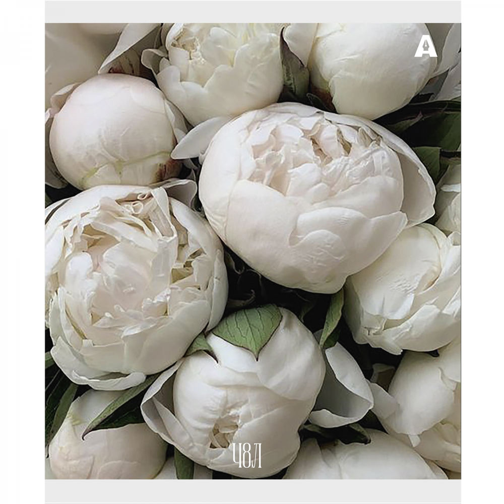 Тетрадь 48л., А5, клетка, Alingar "Нежные цветы", скрепка, мелованый картон ( стандарт), блок офсет, 5 дизайнов в пленке т/у