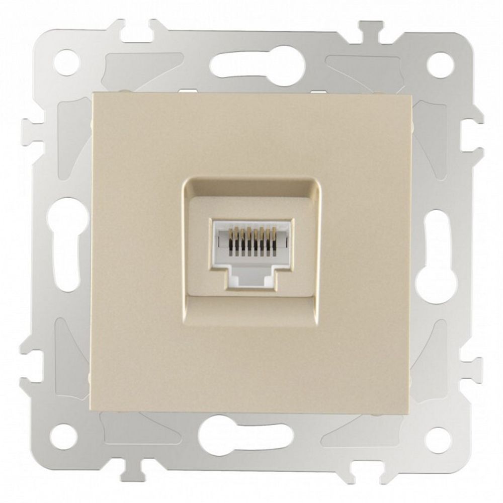 Розетка Ethernet RJ-45 без рамки Arte Milano am-203 203.45-1.shampan