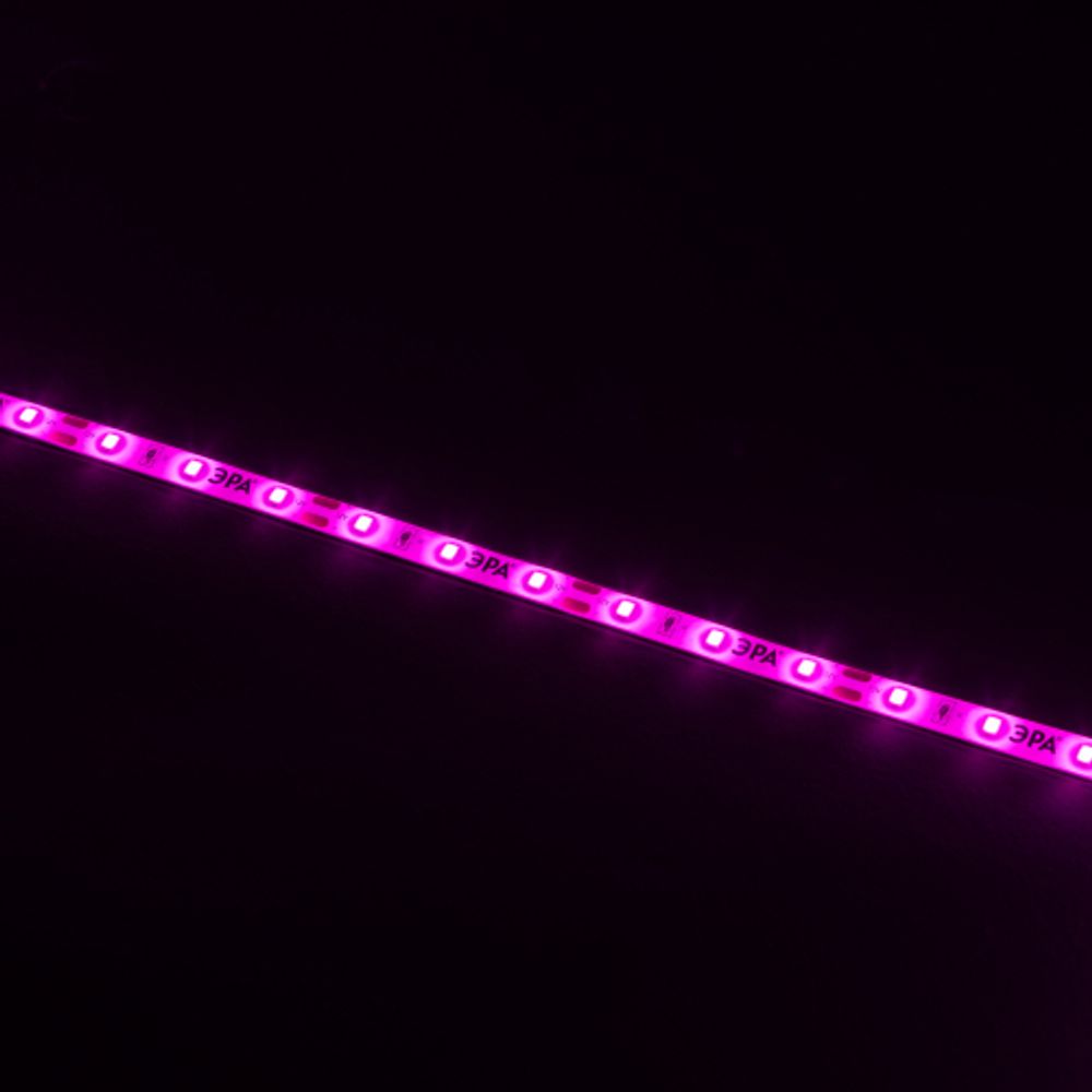 Светодиодная лента для растений ЭРА FITO-Strip Light-RB-45W-5m-12V-IP65 красно-синего спектра 5м IP65 с адаптером 12V | Светодиодные ленты для растений
