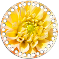 Донышко Принт 15см