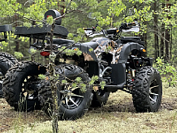 Квадроцикл PROMAX 320 DOMINATOR PRO (2025)