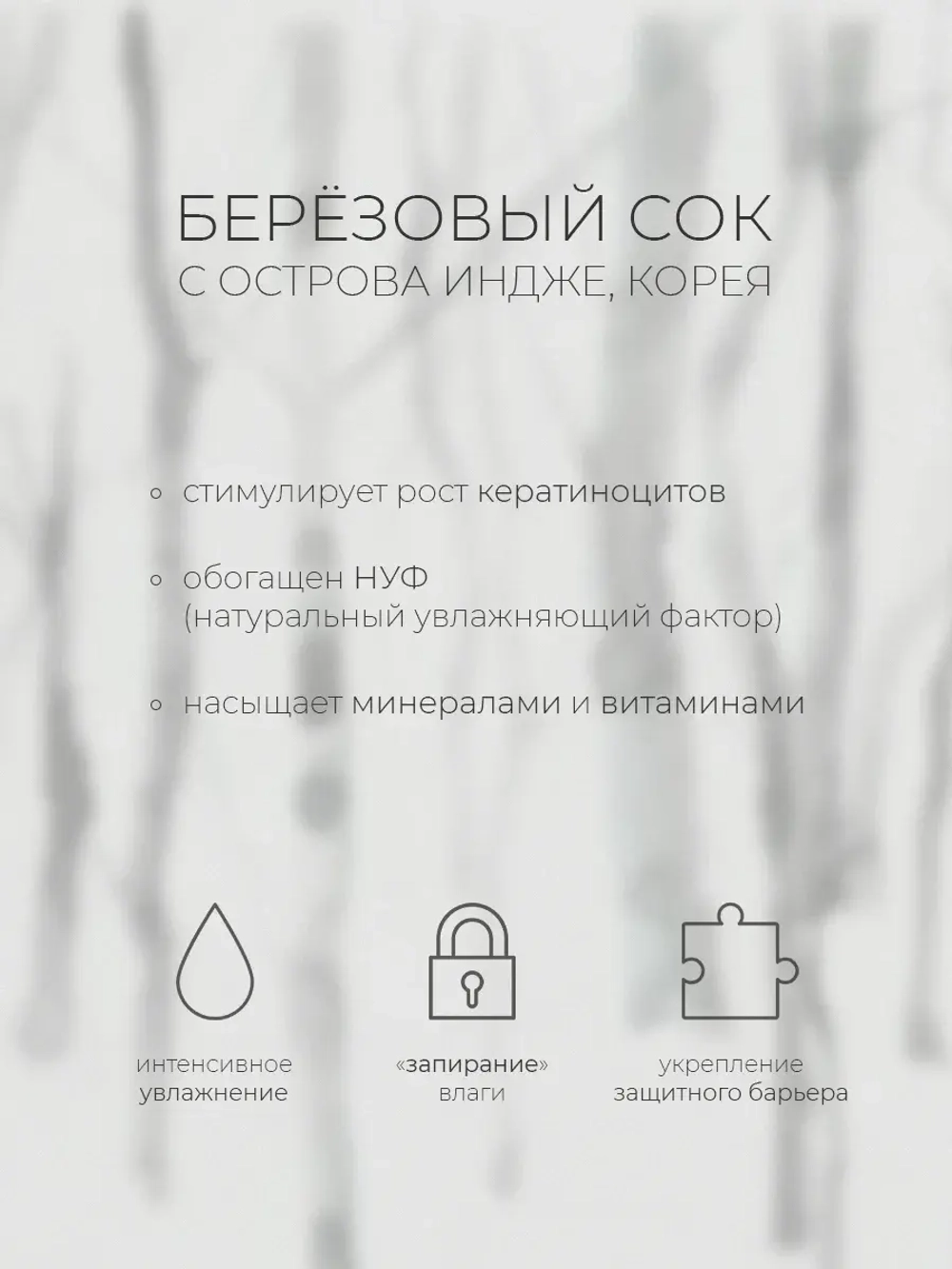 Round Lab Тонирующий солнцезащитный крем SPF50 Birch Juice Moisturizing Tone-Up Sunscreen 50 мл