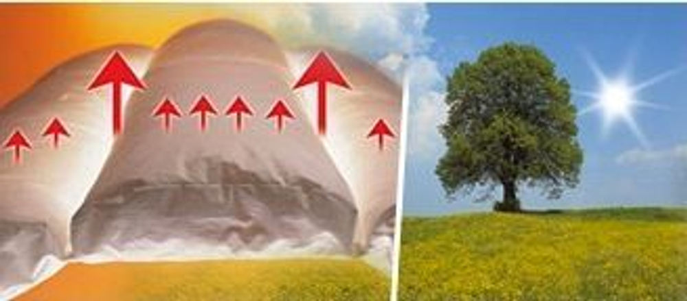 Одеяло пуховое 200х200 Dorbena Climachange Швейцария вид