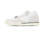 Кроссовки Nike Air Trainer 1 "Photon Dust"