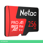 Карта памяти Netac NT02P500PRO-256G-S