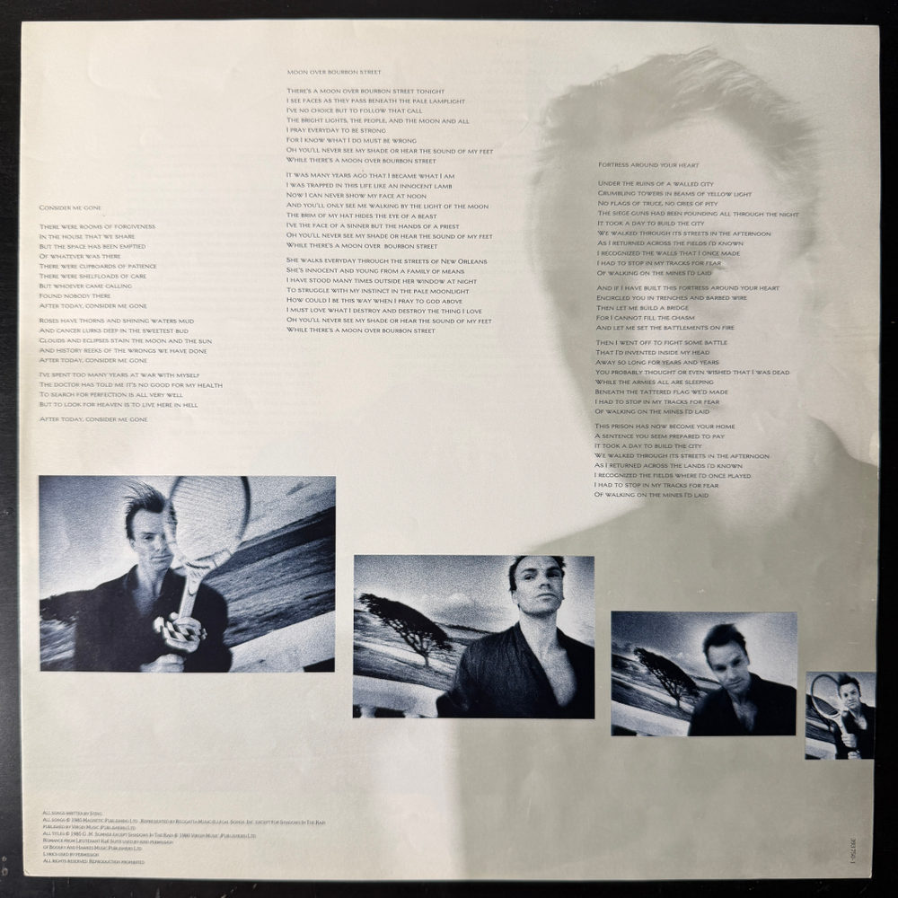 Виниловая пластинка Sting - The Dream Of The Blue Turtles LP