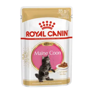 Пауч для котят, Royal Canin Kitten Maine Coon, в возрасте от 3 до 15 месяцев