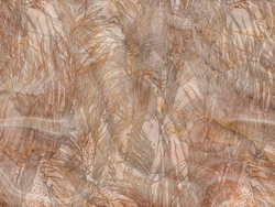 Коллекция WAVES