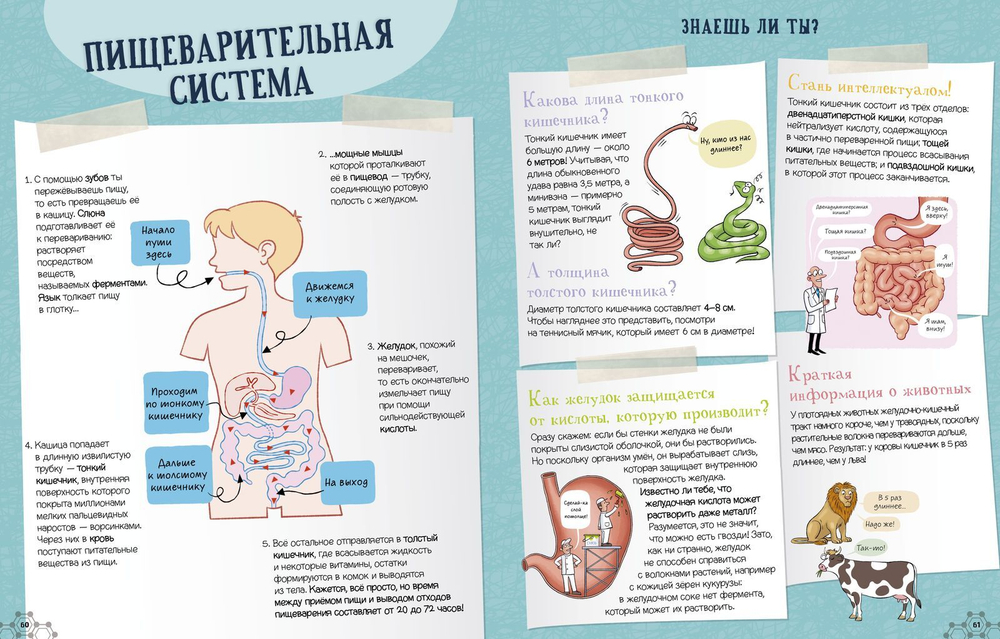 Суперкнига о теле человека