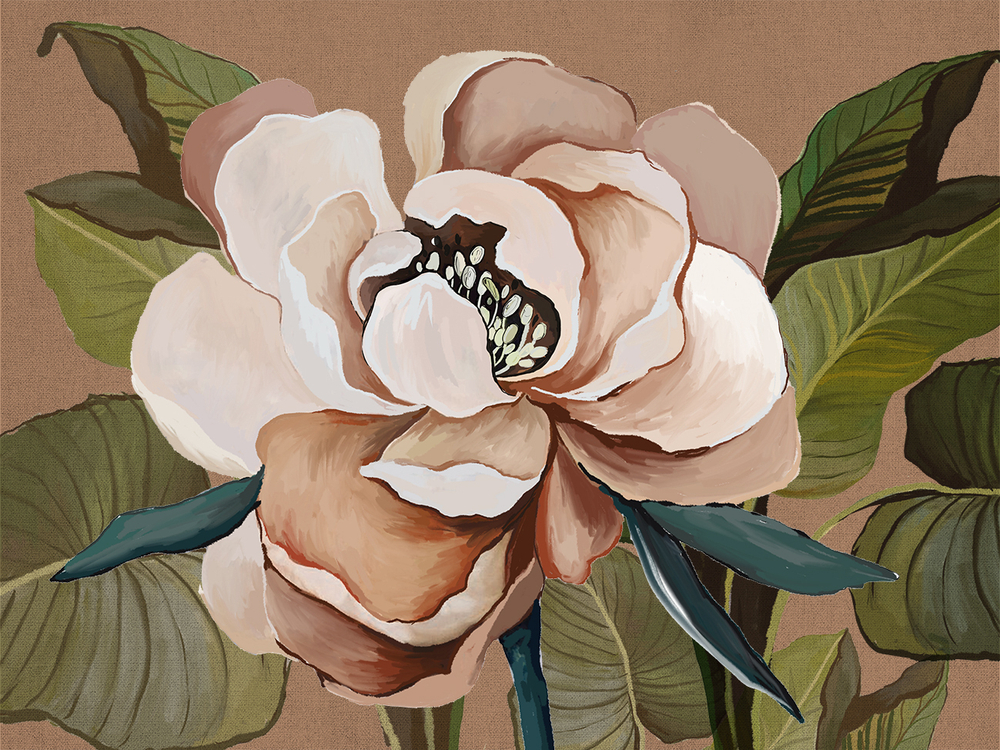 Коллекция SOLO