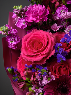 Фестиваль красок *