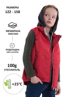 Жилетка утепленная с капюшоном осенняя