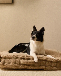 ZARA HOME ПОДУШКА ДЛЯ ДОМАШНИХ ЖИВОТНЫХ С ИСКУССТВЕННЫМ МЕХОМ