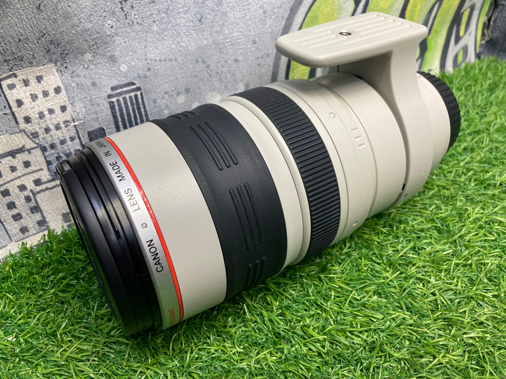 Canon EF 100-400mm 4.5-5.6L IS USM